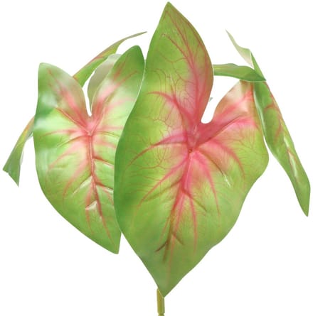 Kunstcaladium zesbladige groen/roze kunstplant zoals echt!