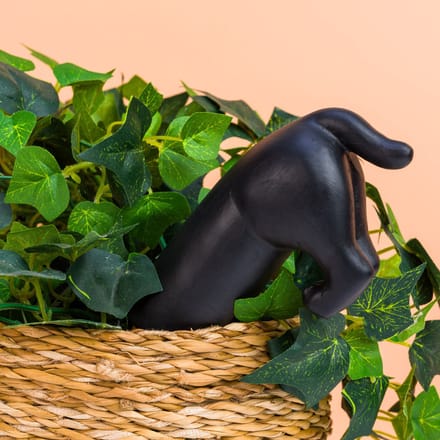 Hond Bewateringssysteem van Fisura