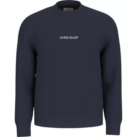 blauwe man geborduurde trui