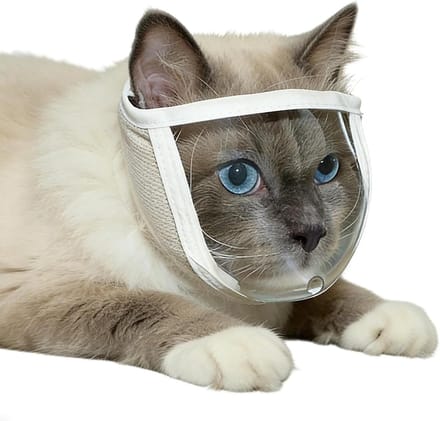 Kattenmuilkorf - Kattenkap - Nagel trimmen - Transparant en ademend - Maat Medium - Wit