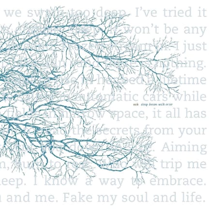 Oak - Sleep Dream Walk Enter (LP)