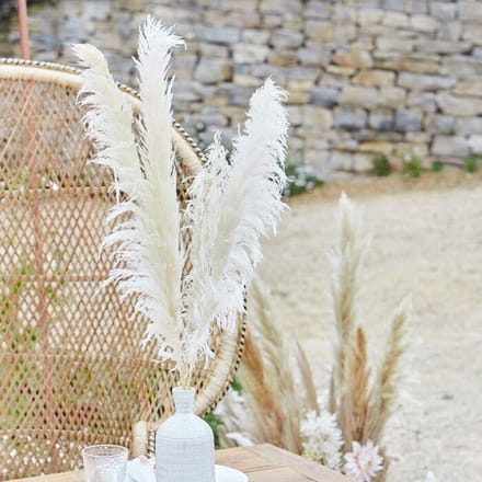 5 Country Wedding pampagrassen 90cm