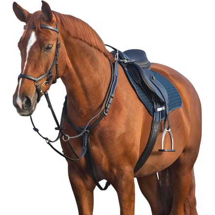 Borstplaat met martingaal Horseware Micklem