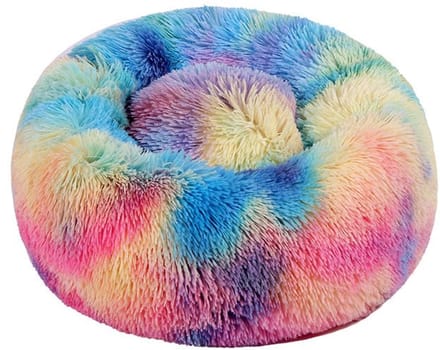 Huisdiermand Jenny Donkere regenboog, M