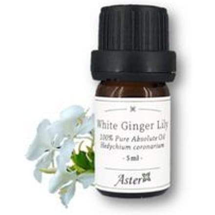 Aster Aroma - 100% Pure Absolute Oil White Ginger Lily Hedychium Coronarium 5ml