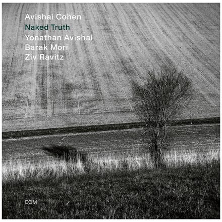 Avishai E. Cohen, Yonathan Avishai, Barak Mori, Ziv Ravitz - Naked Truth (CD)