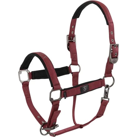 Halster voor paarden BR Equitation CLX