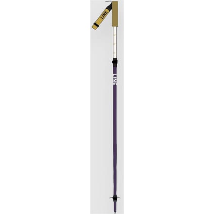 Line Paintbrush 2026 Ski Stokken patroon