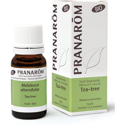 Pranarôm Essentiële Olie Tea Tree Bio | Natuurlijke afweer 10 Etherische olie