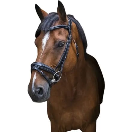 Hoofdstellen voor paarden Eric Thomas PRO "Design"