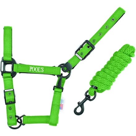 Nylon halster voor paard met leer Pool's