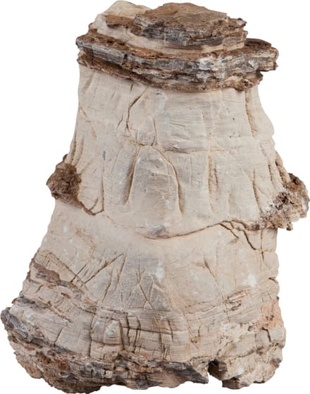 Sera Rock Asian Pagoda L - 2-3KG