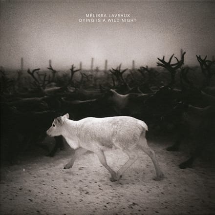 Melissa Laveaux - Dying Is A Wild Night (CD)