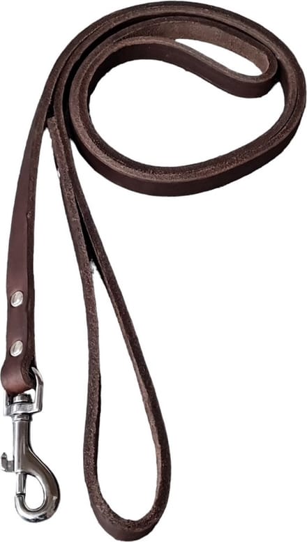 Schins Basic Hondenlijn - bruin - 130cm