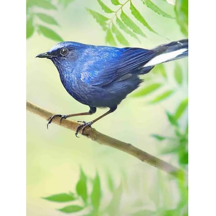 Broderie Diamant 5D DIY Décoration Maison Peinture Oiseau Fleur Forage Complet Point de Croix 20X30CM blue