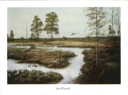 poster Verkerke Jan Wessels - Returning Mallards 80 x 60 cm
