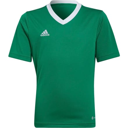 adidas - Entrada 22 Jersey Youth - Groene Voetbalshirt -152