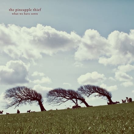 What We Have Sown - Pineapple Thief