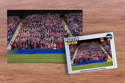 Puzzel Mensen in voetbalstadion - Legpuzzel - Puzzel 1000 stukjes volwassenen