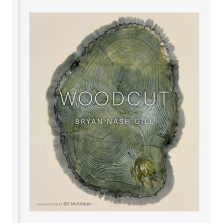 Woodcut - Bryan Nash Gill
