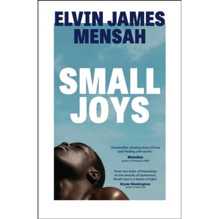 Small Joys - Elvin James Mensah