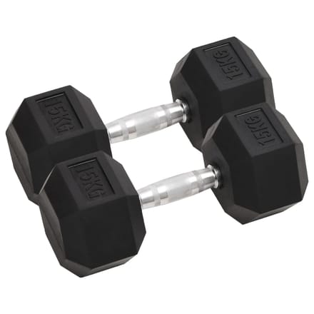 vidaXL - Halters - 2 - st - 15 - kg - totaal - gietijzer