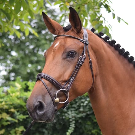 Bridles woensdag Jump'In Collection Week