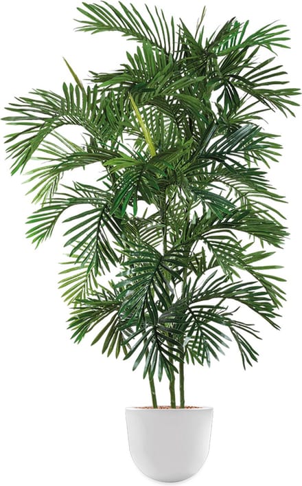 Kunstplant Areca palm in Eggy H175 cm