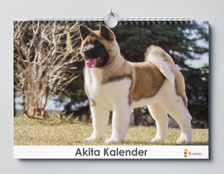 Huurdies - Verjaardagskalender - Akita - A3