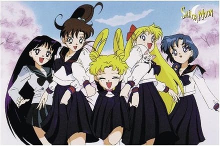 Sailor Moon Group - Maxi PosterXL - 70x102cm