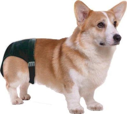 Dog Pant Loopsheidbroekje - size 5