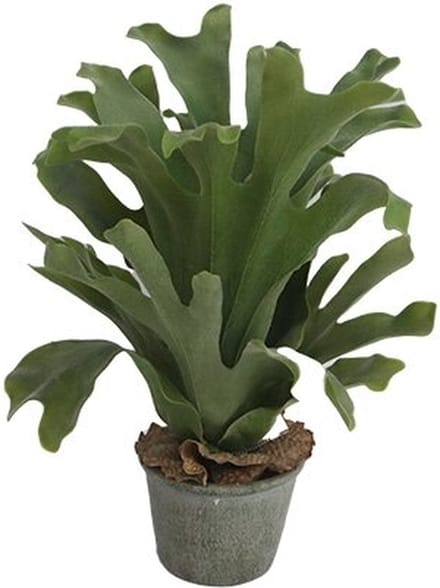 Kunst hertshoorn in pot - 43 cm