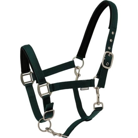 Halster voor paarden Norton Nacre