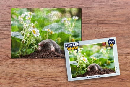 Puzzel Dier - Tuin - Mol - Legpuzzel - Puzzel 500 stukjes