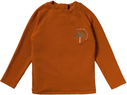 Solid | Swim Longsleeve