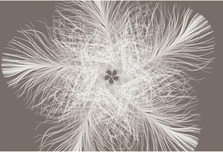 Komar Fotobehang Feather 368x248 cm XXL4-006