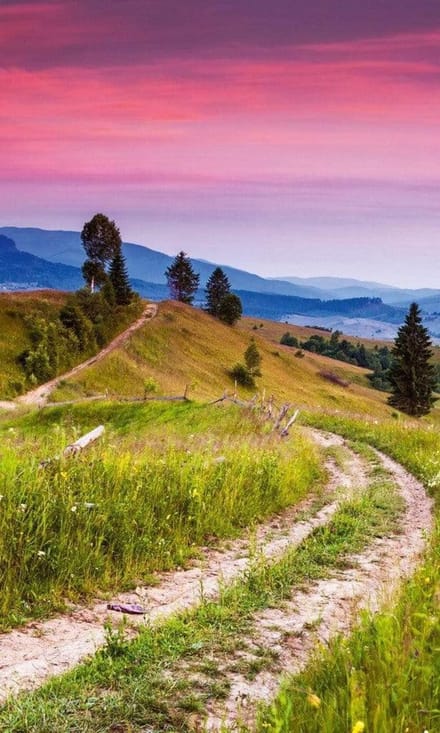 Fotobehang - Blooming Hills 150x250cm - Vliesbehang