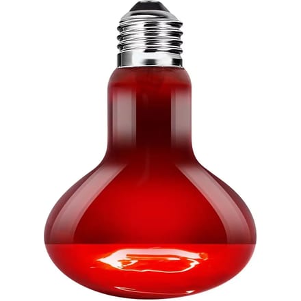 Ampoule voor infrarood zonnen Terra Della