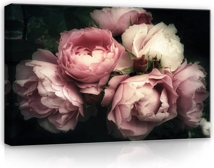 Canvas Schilderij - Bloemen - Boeket - Rozen - Wit - Planten - Inclusief Frame - 60x40cm (lxb)