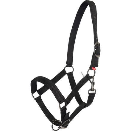 Halster voor paarden Imperial Riding Yearling