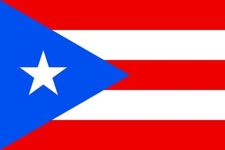 Vlag Puerto Rico 30x45cm