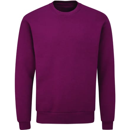 Milieuvriendelijk sweatshirt met ronde hals Mantis Essential