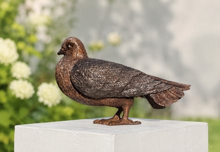 DUIF / Bronzen dierenbeeld / vogel / postduif