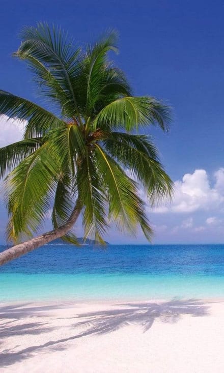 Fotobehang - Beach 150x250cm - Vliesbehang