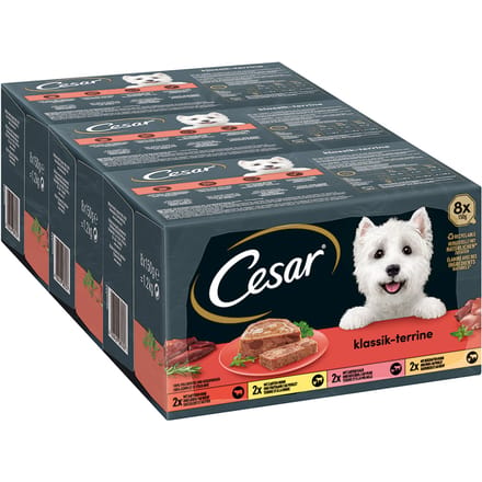 8x150g Cesar Classic Terrine Hondenvoer