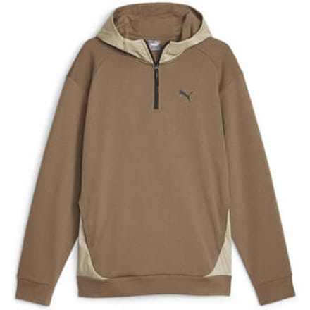 Puma Rad/cal Dk Hoodie Bruin S Man