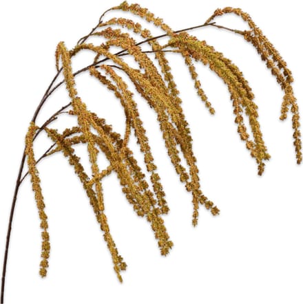 Silk-ka - Kunstbloem - amaranthus - geel - H114 cm