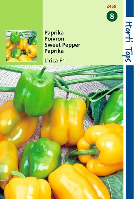 2 stuks Hortitops Paprika Pasodoble F1 Geel