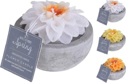 Kaars - bloemkaarsen in cementen Pot per 3 stuks - kaars - decoratie woonkamer
