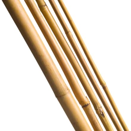 Nature Bamboestok Naturel H210cmxø16-18mm 3 Stuks
